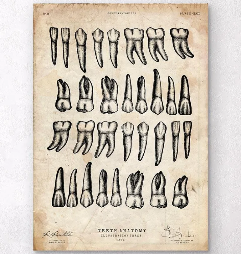 Impression d'art graphique de dents