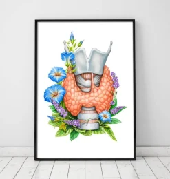 Larynx, thyroïde et aorte - Aquarelle - Blanc