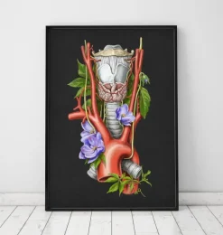 Larynx, thyroïde et aorte - Aquarelle - Noir