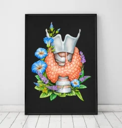 Larynx, thyroïde et aorte - Aquarelle - Blanc