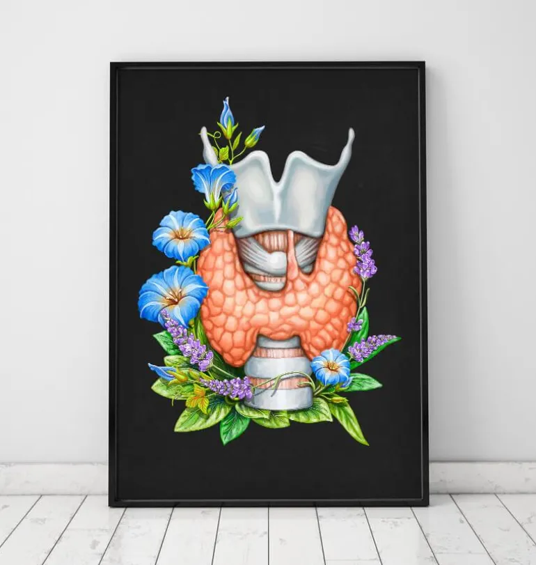 Larynx, thyroïde et aorte - Aquarelle - Blanc
