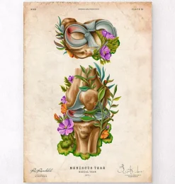 Lésion méniscale - Floral - Vintage