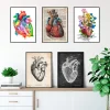 Mix d'anatomie cardiaque - Lot de 5
