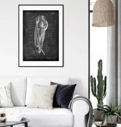 Muscles des jambes - Chalkboard