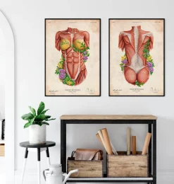 Muscles du dos féminin - Floral - Vintage