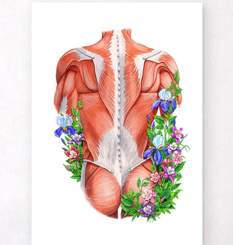 Muscles du dos masculins - Floral - Blanc
