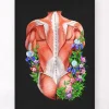 Muscles du dos masculins - Floral - Noir
