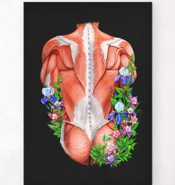 Muscles du dos masculins - Floral - Noir