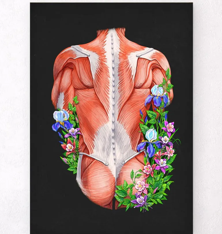 Muscles du dos masculins - Floral - Noir