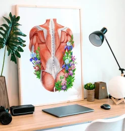 Muscles du dos masculins - Floral - Blanc