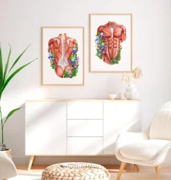 Muscles du dos masculins - Floral - Blanc