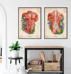 Muscles du dos masculins - Floral - Vintage