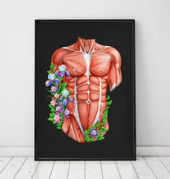 Muscles du torse masculin - Noir