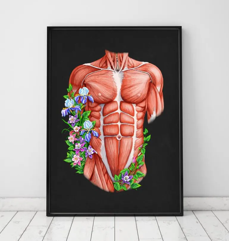 Muscles du torse masculin - Noir