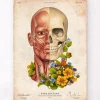Muscles du visage - Floral - Vieux Papier