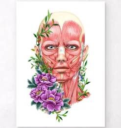 Muscles du visage II - Floral - Blanc