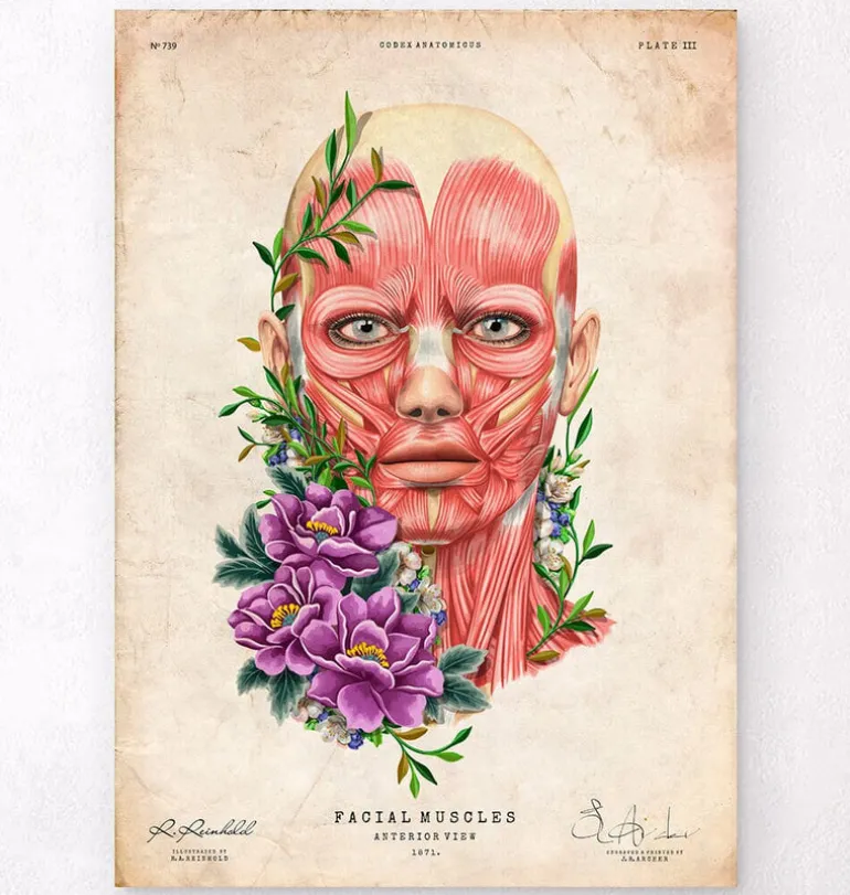 Muscles du visage II - Floral - Vintage