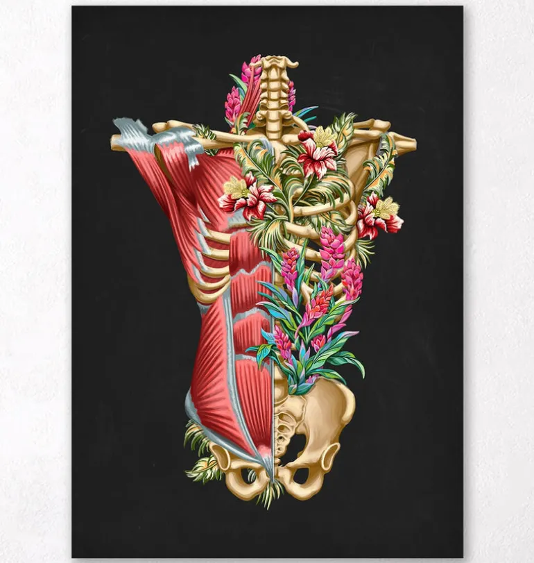 Muscles et os du torse - Floral - Noir