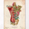 Muscles et os du torse - Floral - Vintage