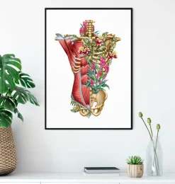 Muscles et os du torse - Floral - Blanc