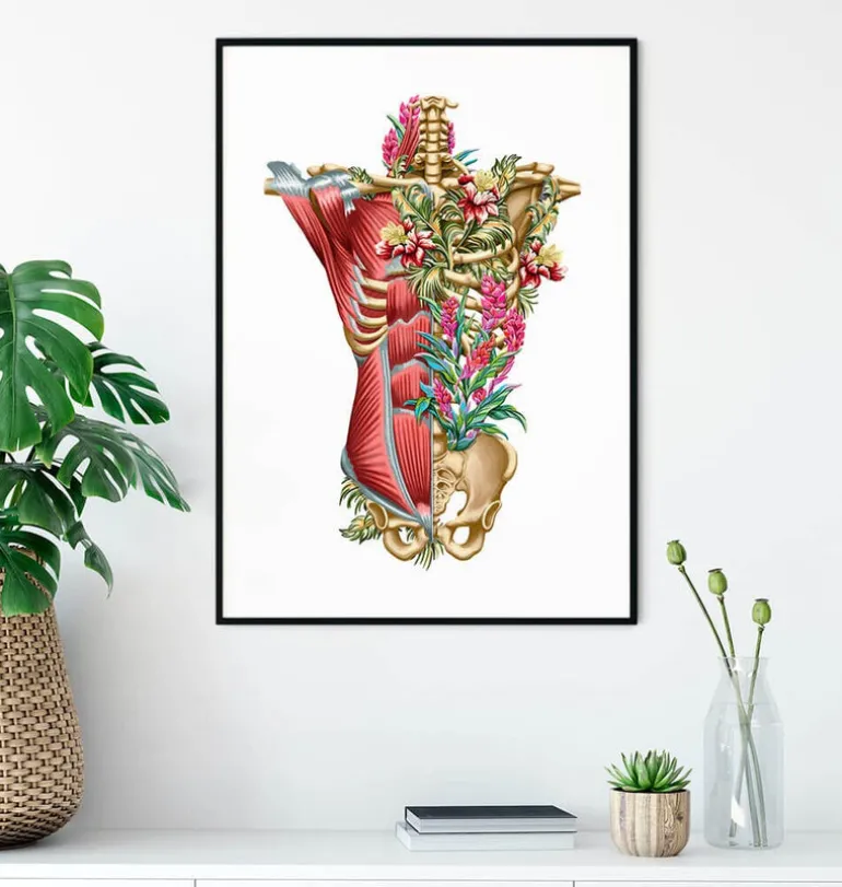Muscles et os du torse - Floral - Blanc
