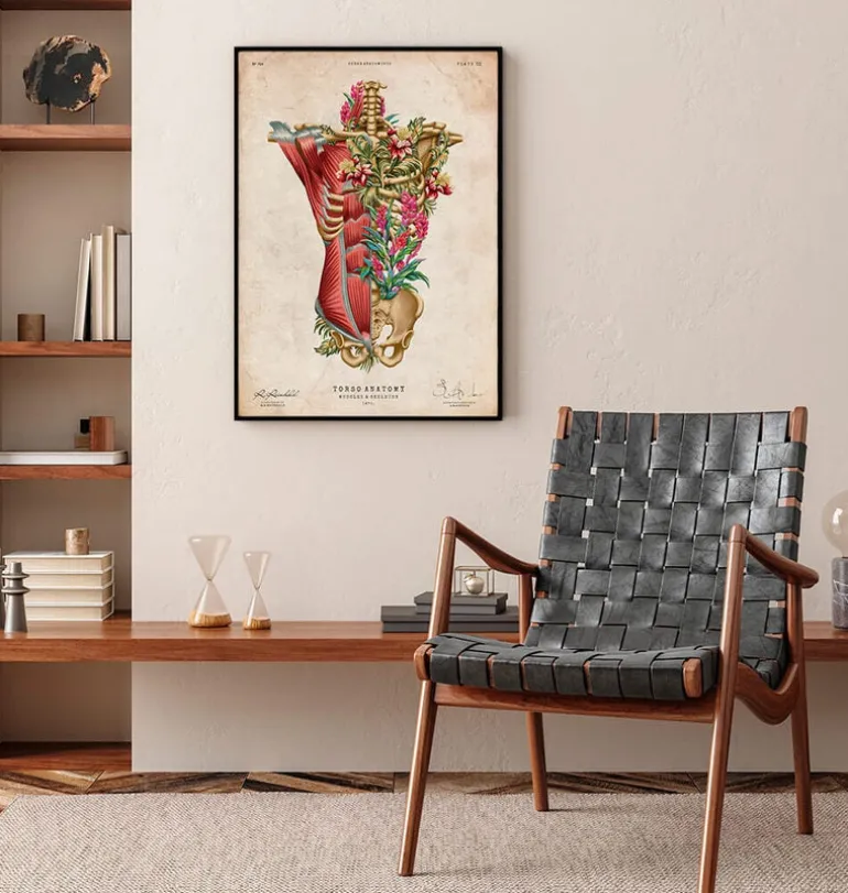 Muscles et os du torse - Floral - Vintage