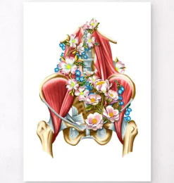 Muscles iliaque et psoas - Floral - Blanc