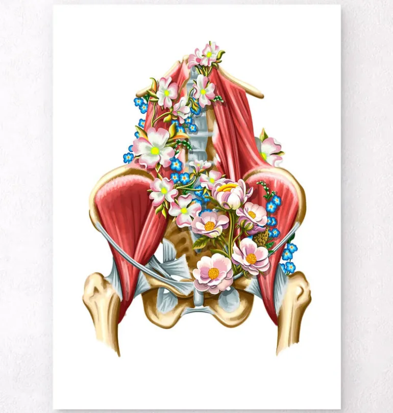Muscles iliaque et psoas - Floral - Blanc