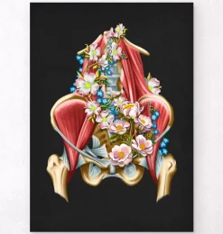 Muscles iliaque et psoas - Floral - Noir