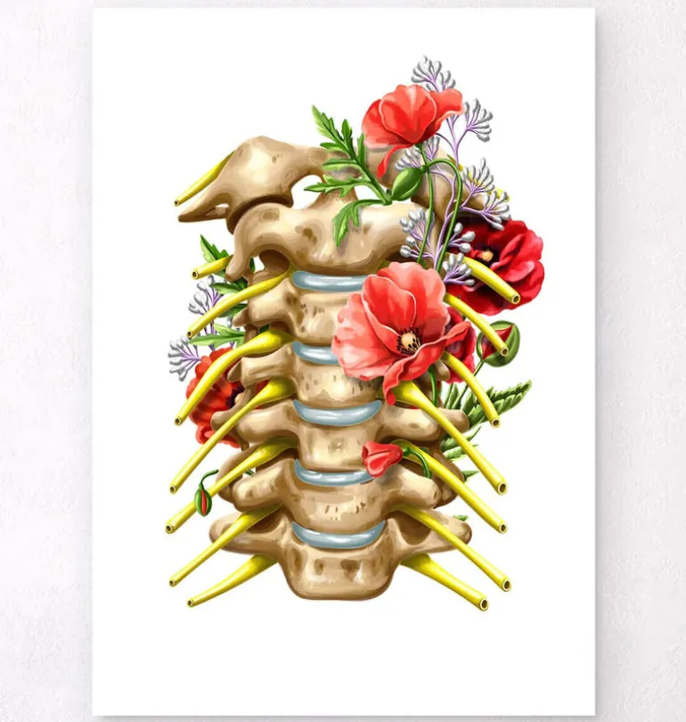 Nerfs cervicaux - Floral - Blanc