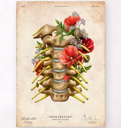 Nerfs cervicaux - Floral - Vintage