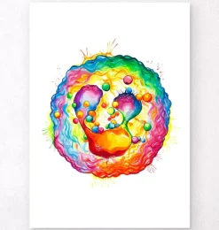 Neutrophile - Aquarelle