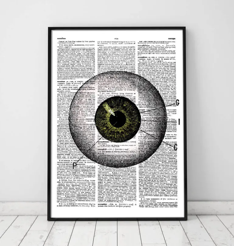 Oeil - Page Dictionnaire