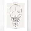 Os du cou - Line Art