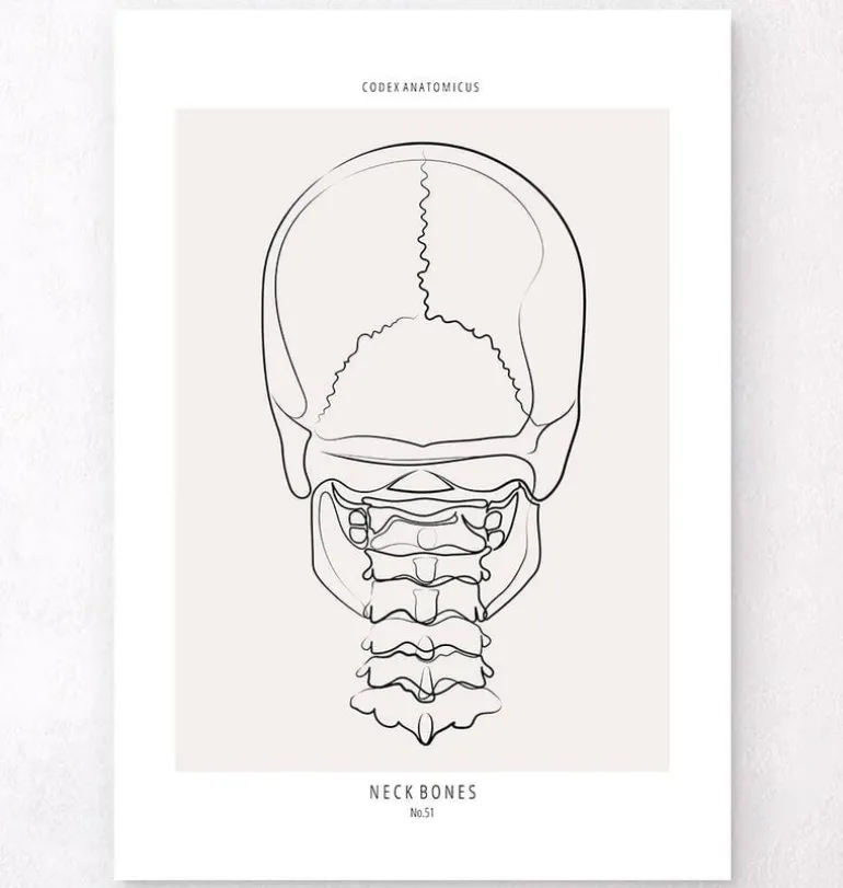 Os du cou - Line Art