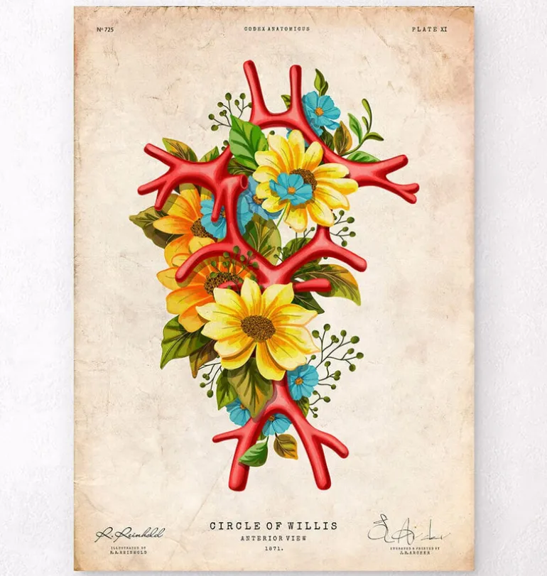 Polygone de Willis - Floral - Vintage
