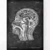 Section de la tête - Chalkboard