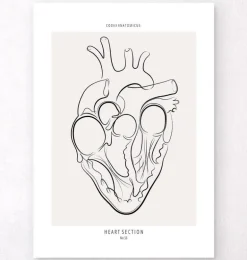 Section du cœur - Line Art