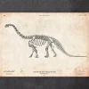 Squelette de dinosaure - Apatosaurus