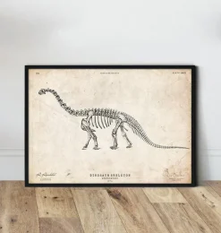 Squelette de dinosaure - Apatosaurus