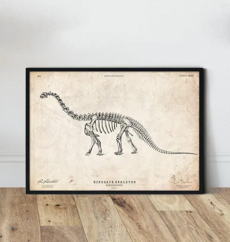 Squelette de dinosaure - Apatosaurus