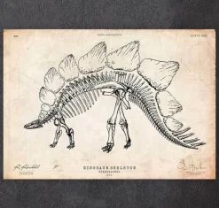 Squelette de dinosaure - Stegosaurus