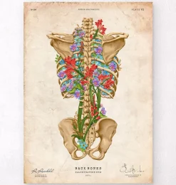 Squelette du dos - Floral - Vintage