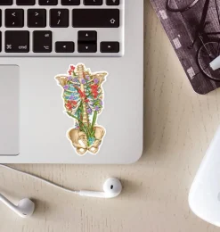 Sticker d'anatomie cage thoracique III - Floral