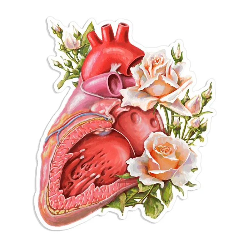 Sticker d'anatomie cardiaque - Floral