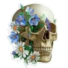 Sticker d'anatomie de crâne - Floral