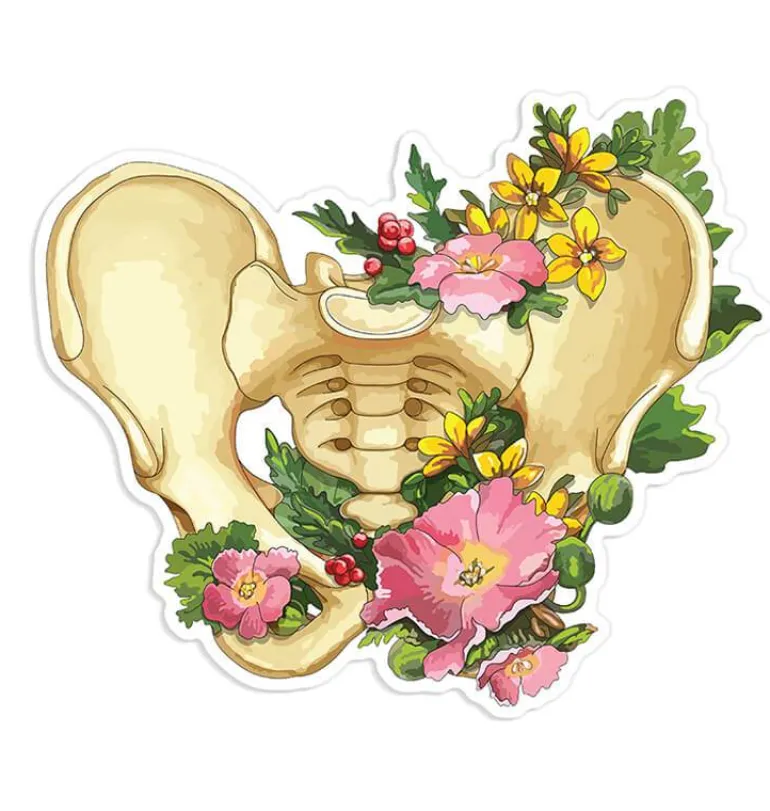 Sticker d'anatomie de la colonne vertébrale - Floral
