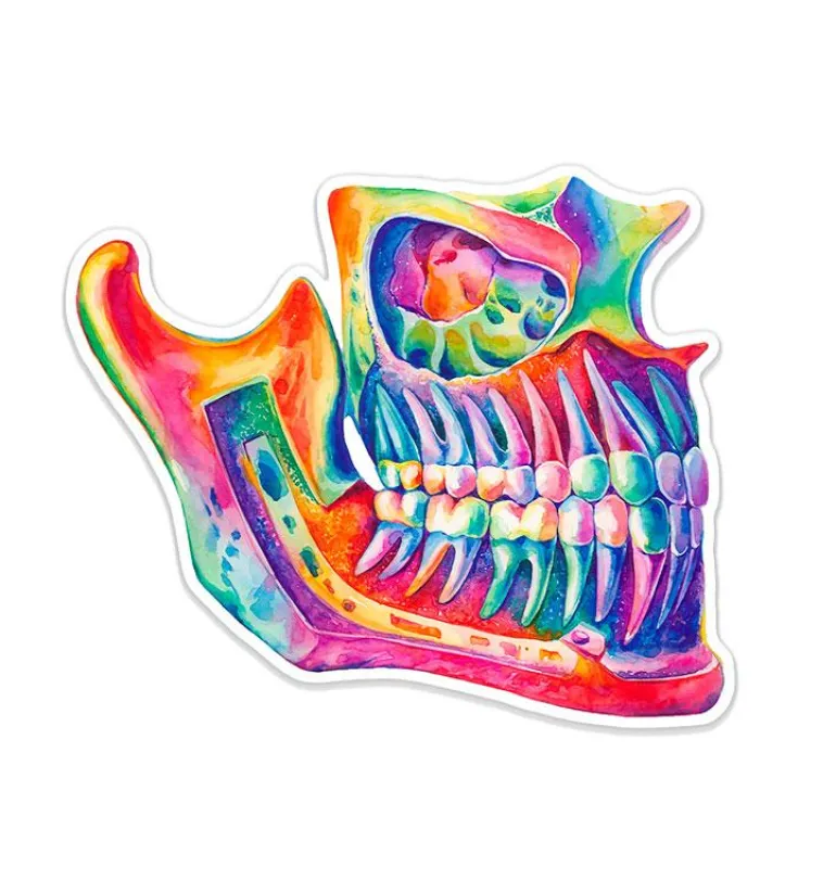 Sticker d'anatomie de la mâchoire - Aquarelle