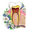 Sticker d'anatomie de la mâchoire - Floral