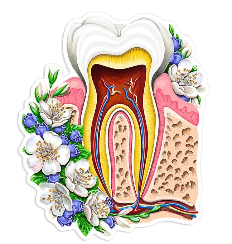 Sticker d'anatomie de la mâchoire - Floral